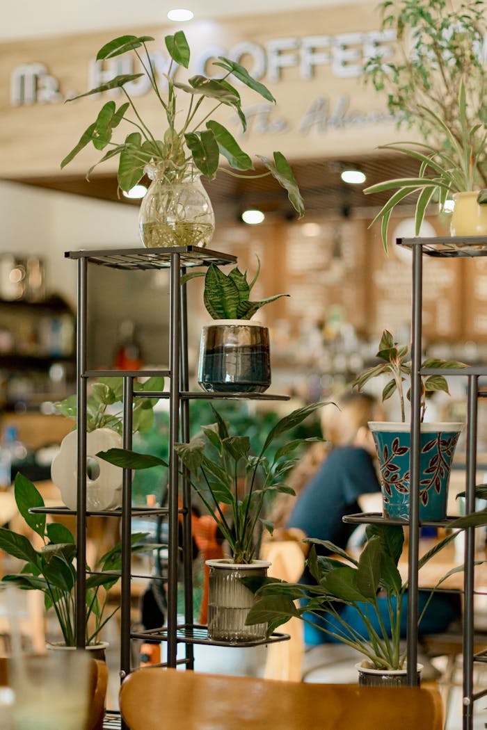who-we-are Indoor potted plants in a stylish cafe create a calming, green ambiance.