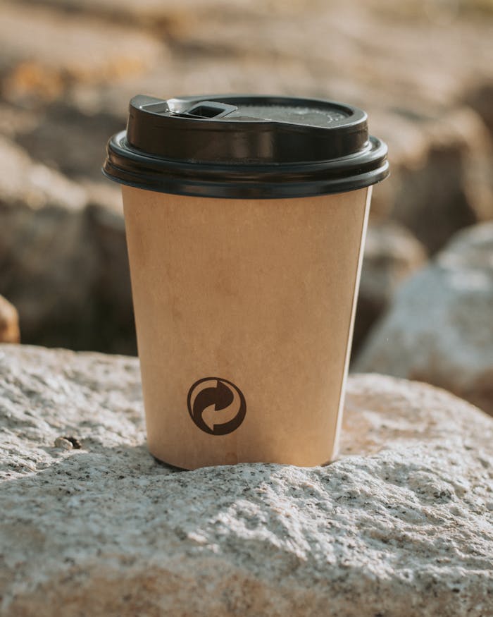 Eco-friendly paper coffee cup resting on a stone outdoors.